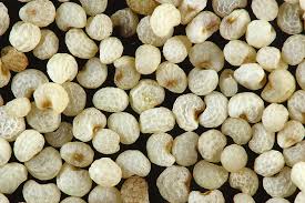 Poppy Seeds Manufacturer Supplier Wholesale Exporter Importer Buyer Trader Retailer in Khari baoli Delhi India